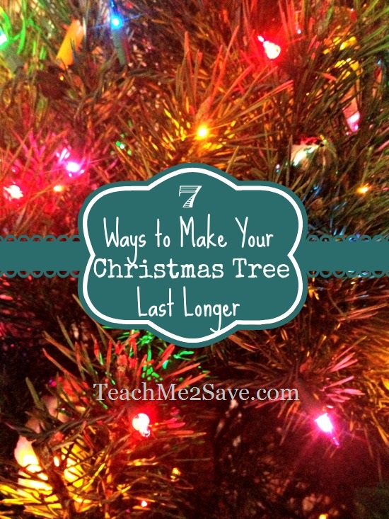 7-ways-to-make-your-christmas-tree-last-longer-funtastic-life