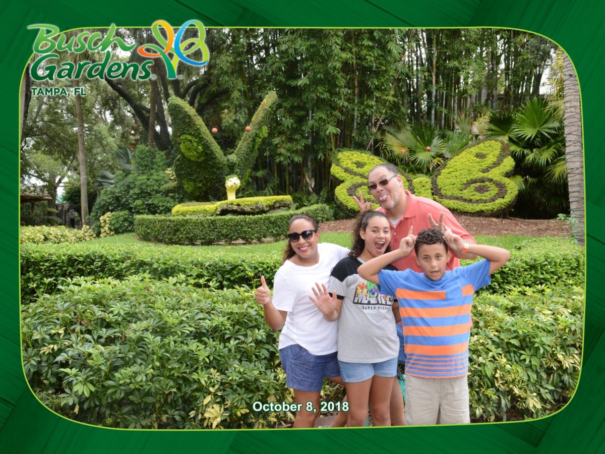 6 Funtastic Things To Do At Busch Gardens Tampa Funtastic Life