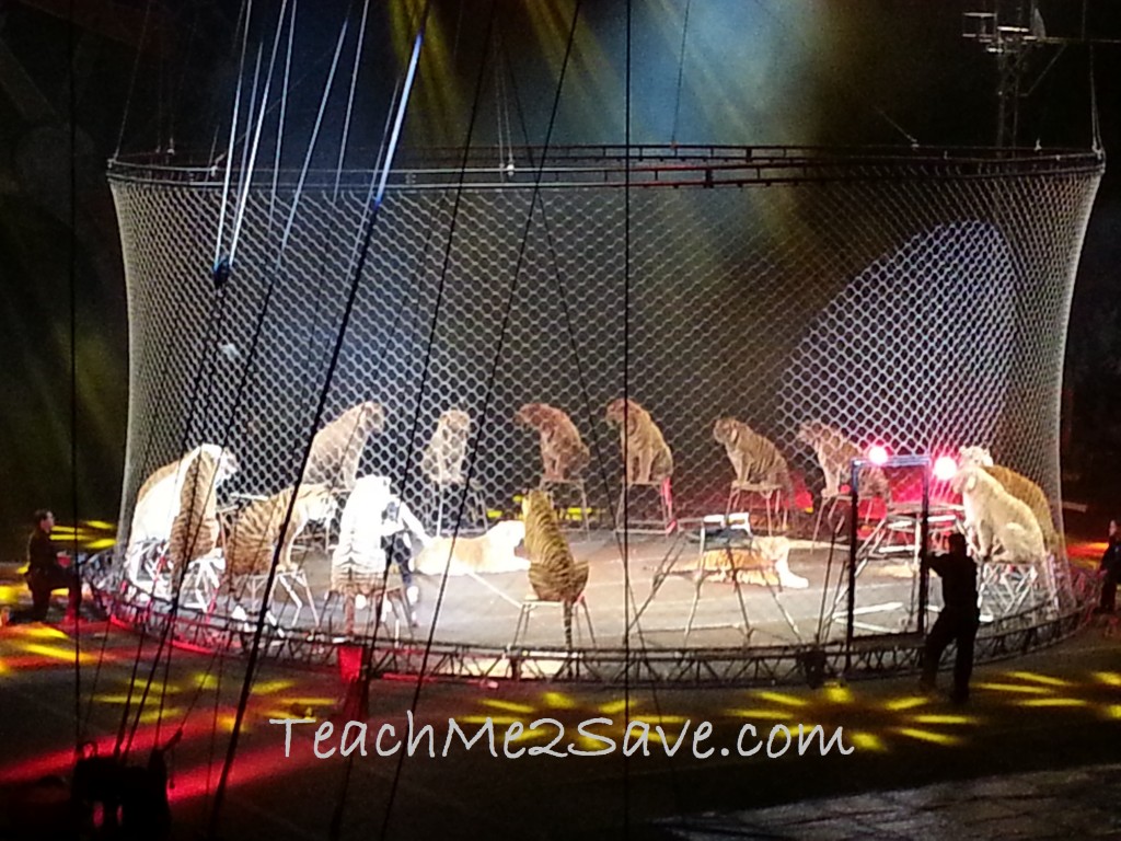 Ringling Bros. and Barnum & Bailey Circus tigers