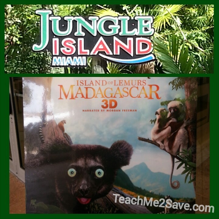 In honor of Island Of Lemurs Madagascar Jungle Island