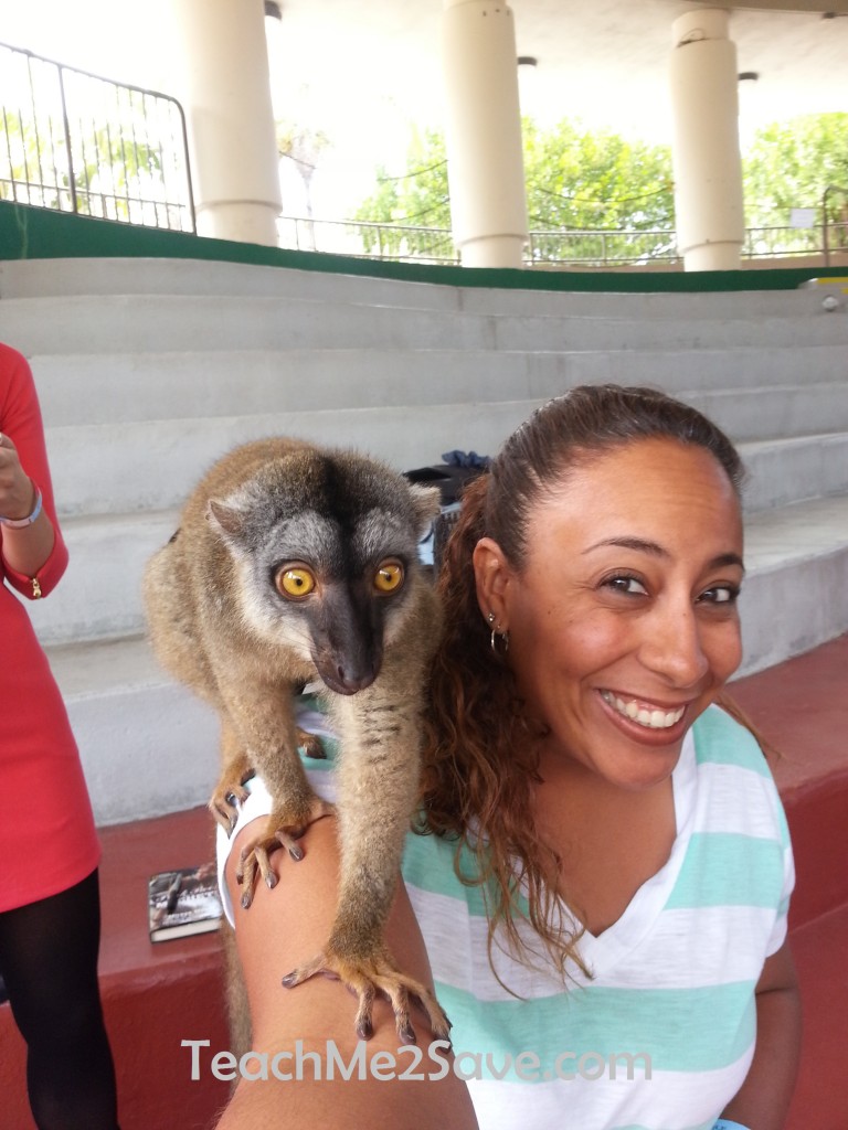 Island of Lemurs Madagascar Lemur with Leanette 2