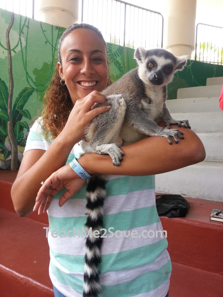 Island of Lemurs Madagascar Lemur with Leanette 3