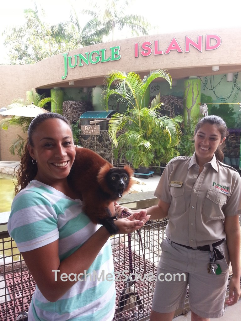 Island of Lemurs Madagascar Lemur with Leanette