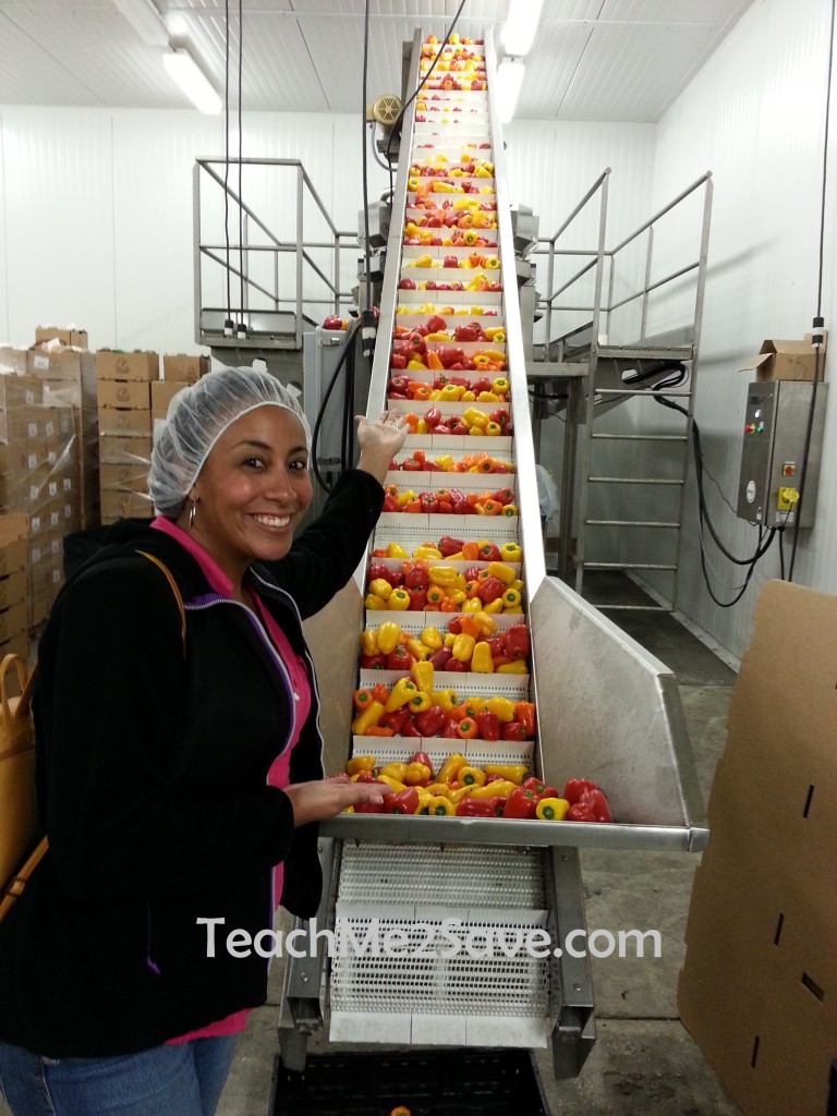 Leanette touring Bailey Farms Packing Center 2