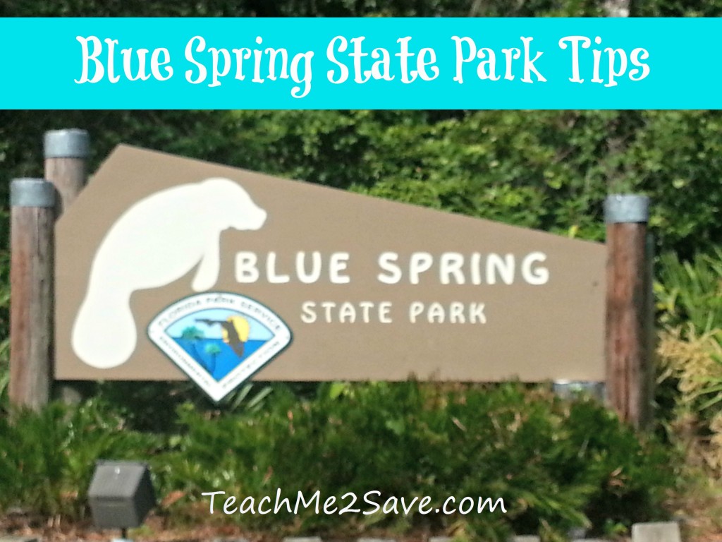 Blue Spring State Park Tips