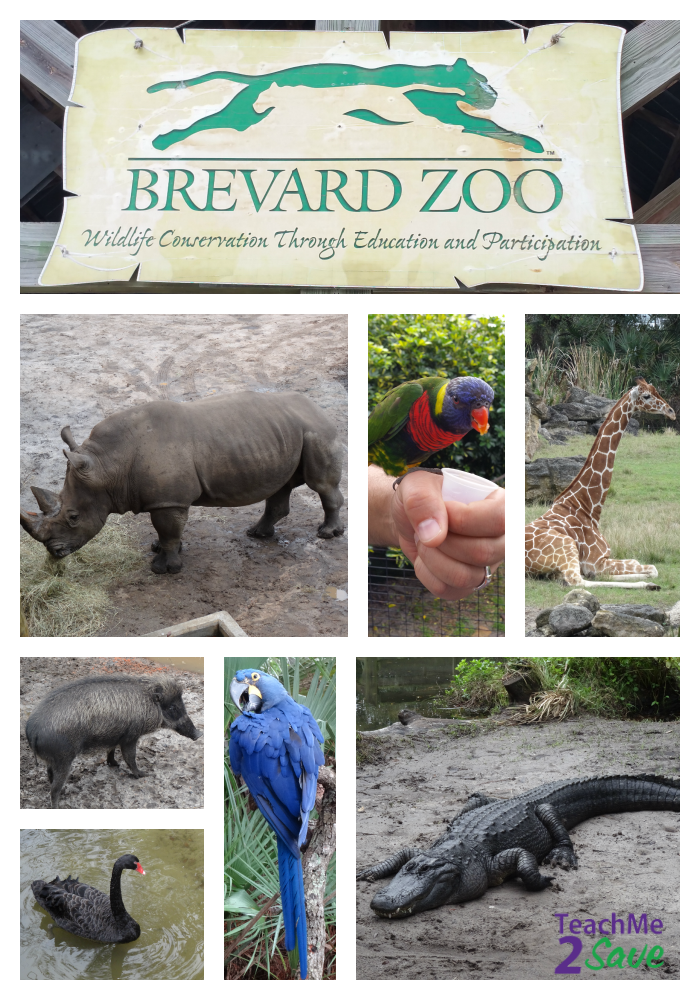 Brevard Zoo Collage