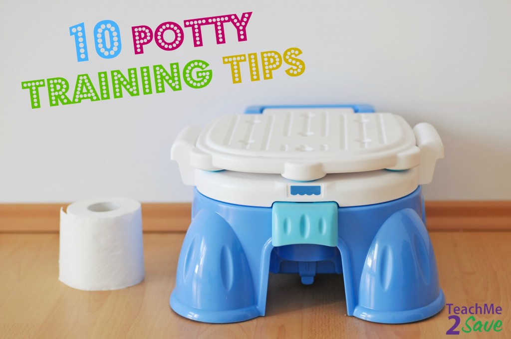 Modern blue training pot and roll of wc paper