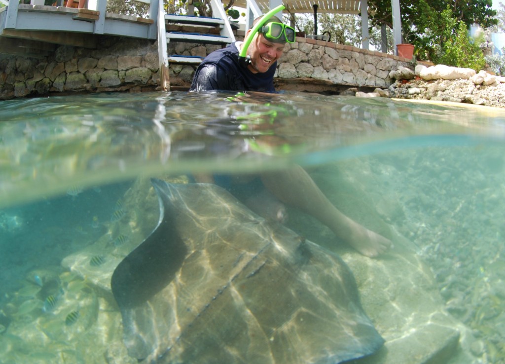 Curaçao Sea Aquarium - Feeding Fish 2