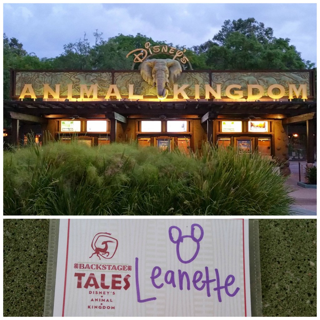 Animal Kingdom Backstage Tales Tour