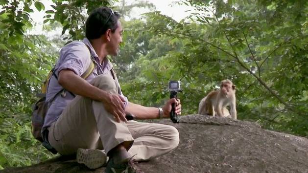 Dr. M. Sanjayan in Monkey Kingdom