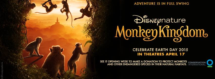 Monkey Kingdom Banner