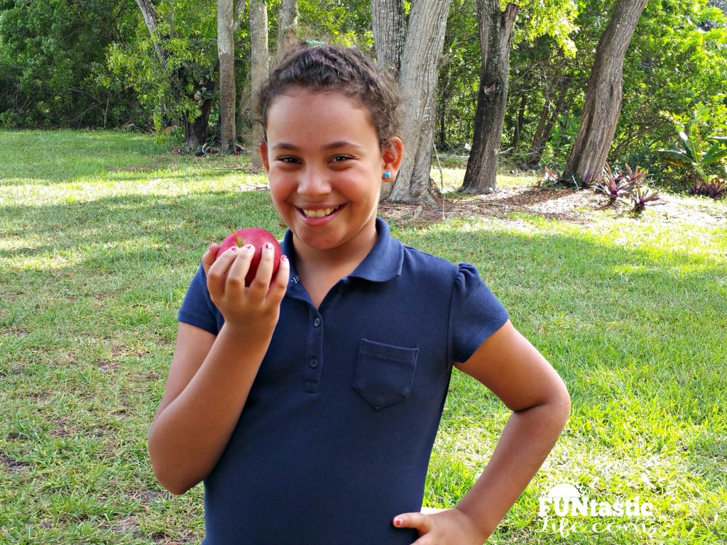 Eating a Wellsley Farms Empire apple