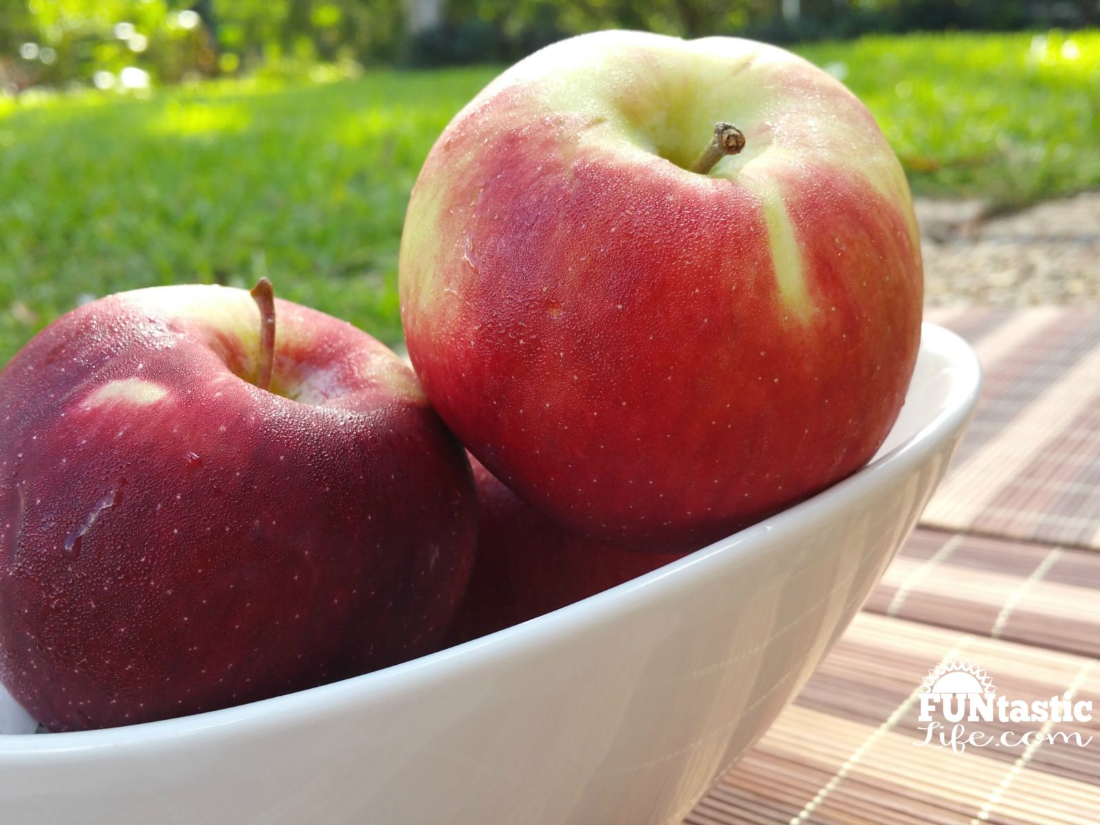 How About Them Wellsley Farms Apples? Funtastic Life