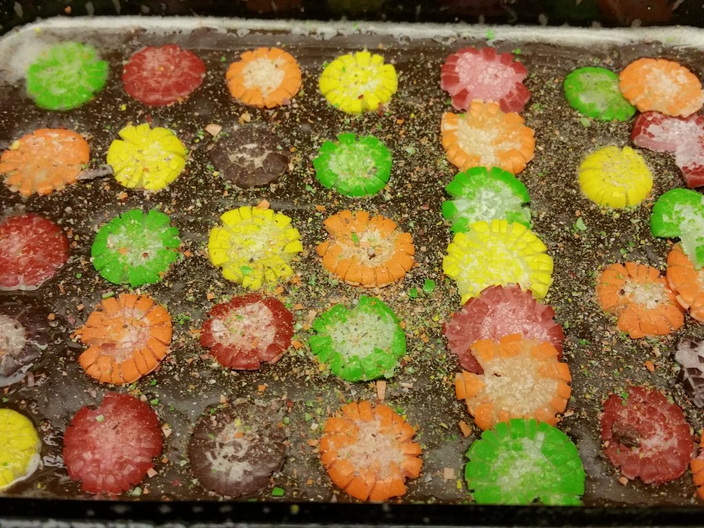 Skittles on Fudge Squares