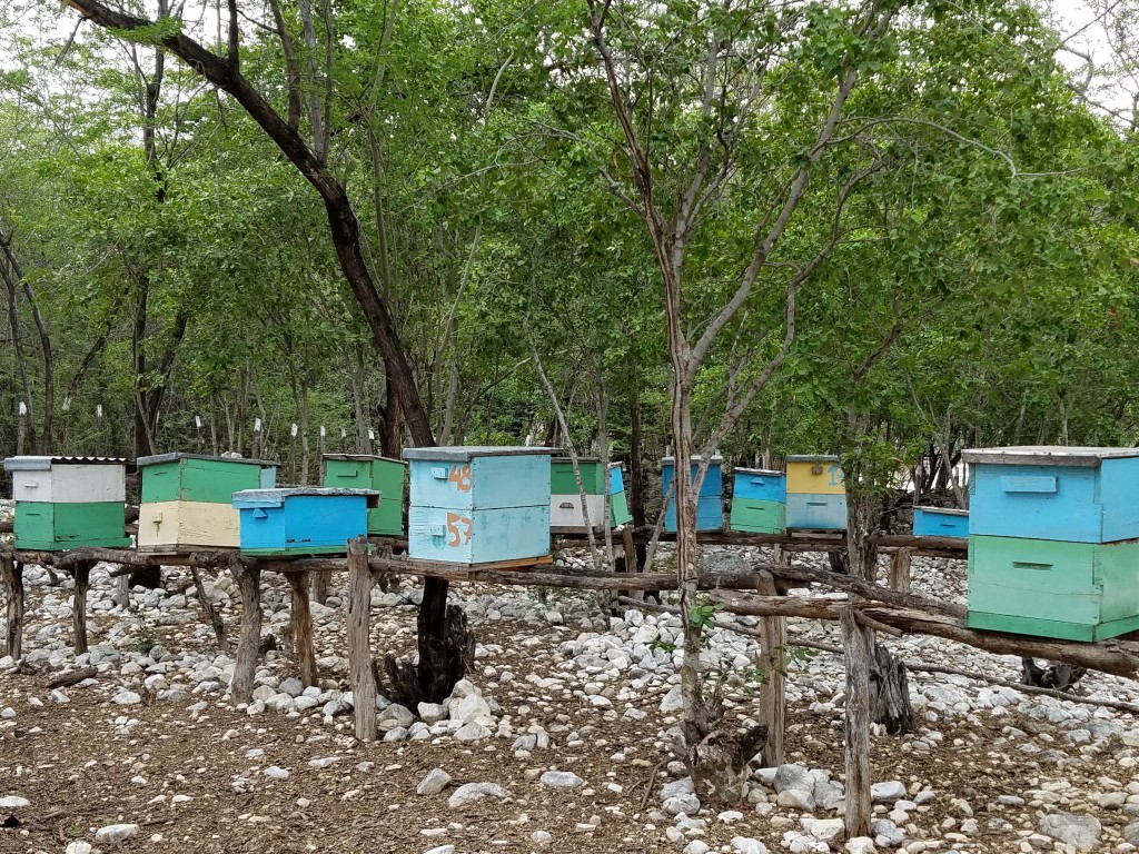 World Vision Bee Hives