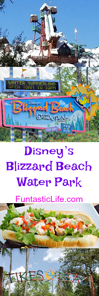 Disney’s Blizzard Beach Water Park