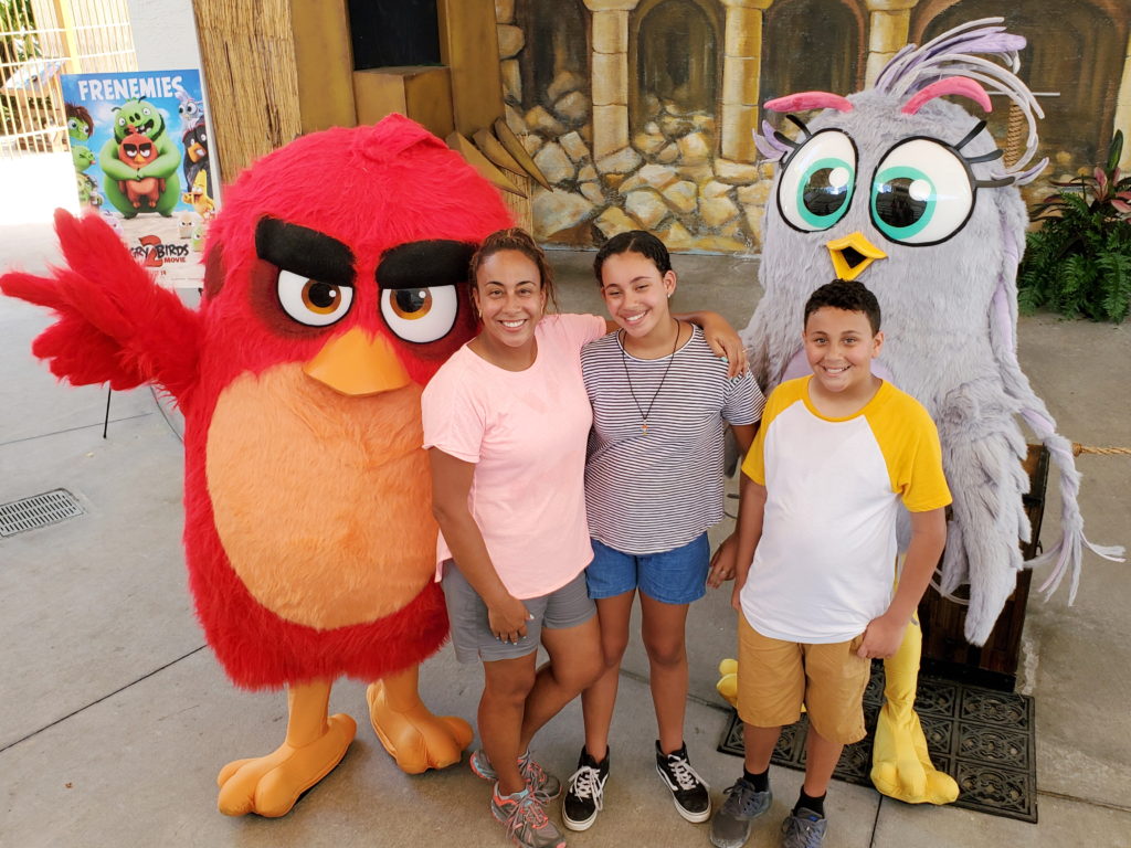 Family with Red and Silver from Angry Birds