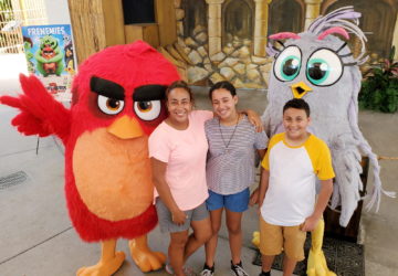 Family with Red and Silver from Angry Birds