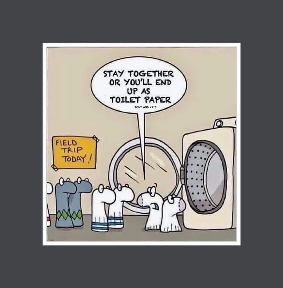 Funny Toilet Pic at Cheryl Barela blog