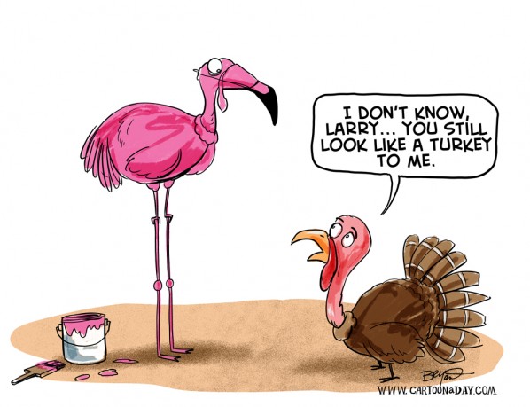 Turkey dressed as a flamingo