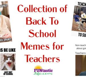 Back to School Memes for teachers