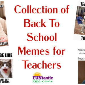 Back to School Memes for teachers