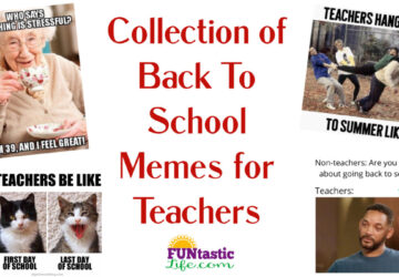 Back to School Memes for teachers