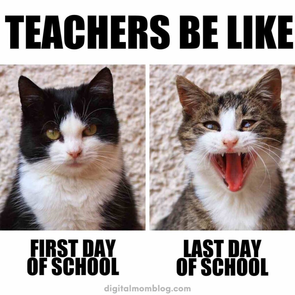 collection-of-back-to-school-memes-for-teachers-funtastic-life