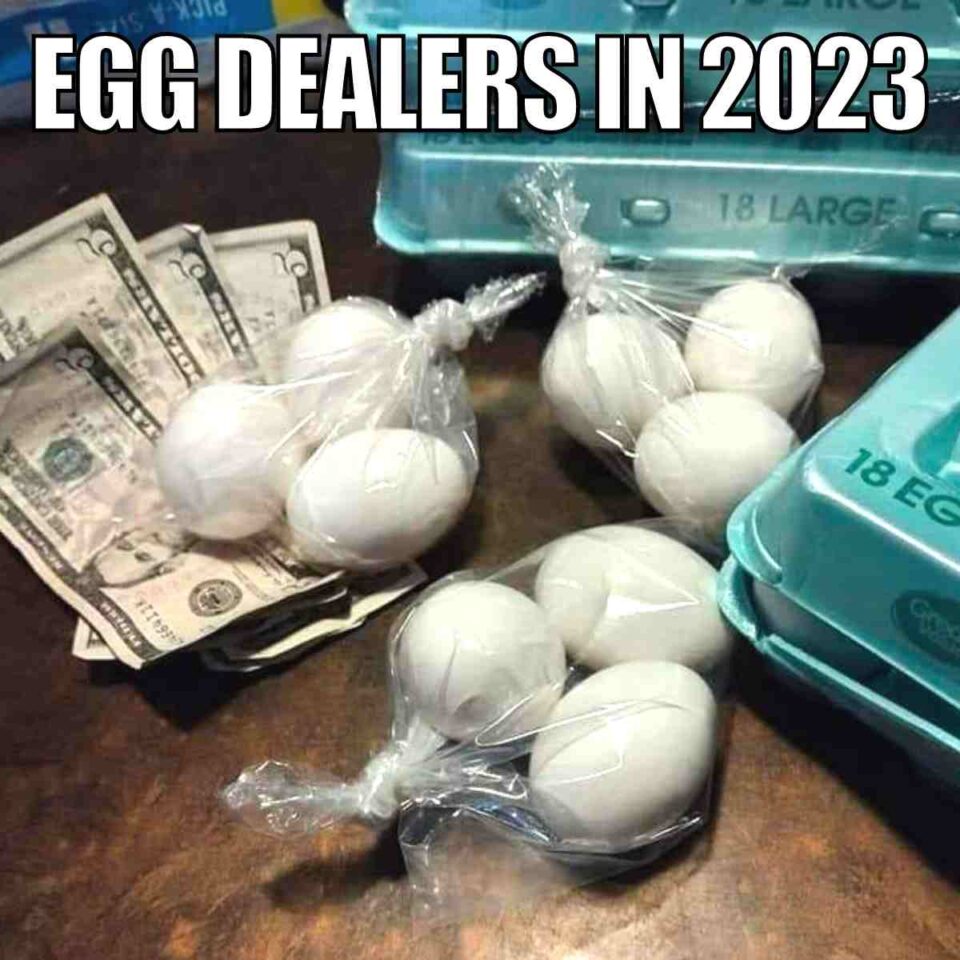 Collection of The Funniest Egg Prices Memes - Funtastic Life