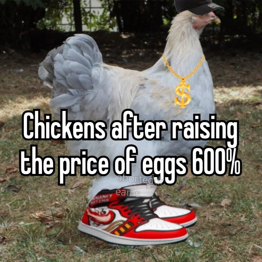 Egg Prices Memes - Chicken dressed up