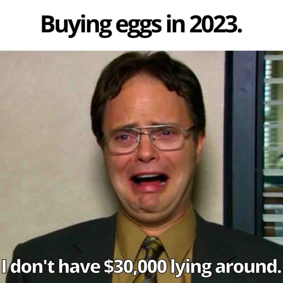 Egg Prices Memes - the office
