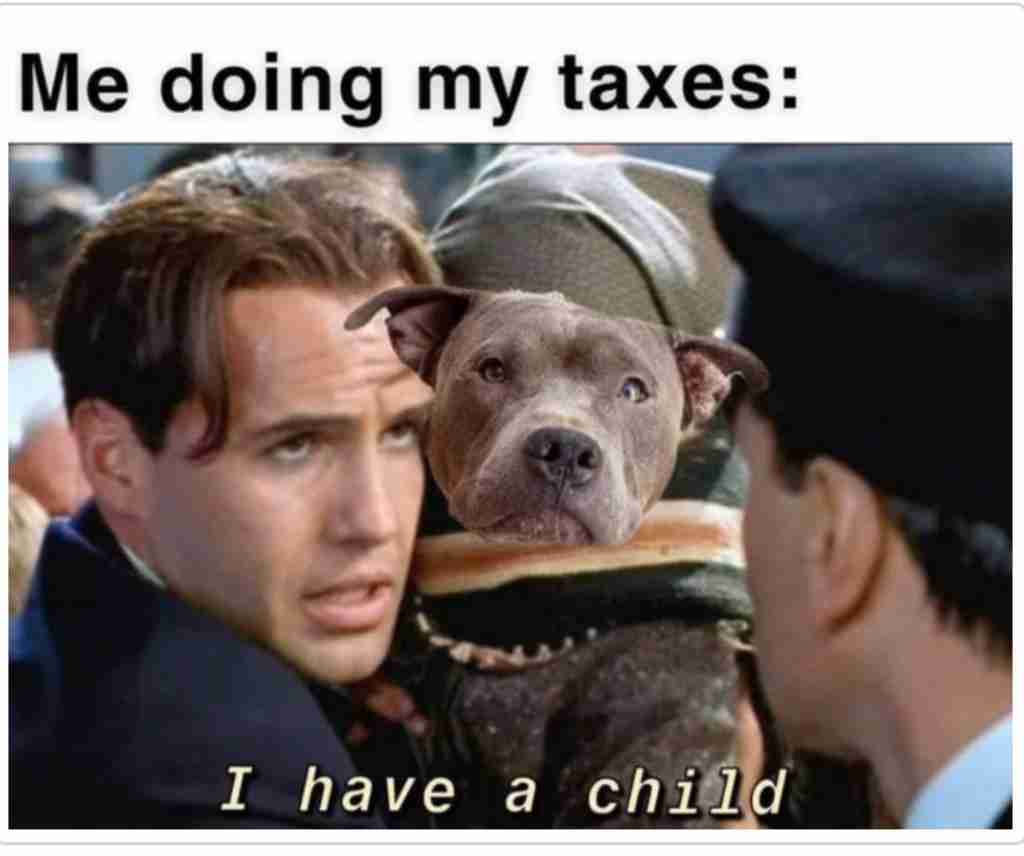 Tax Meme